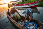 After a long day, San Miguelito fisherman Paulo Padilla readies about 30 fish that he is preparing to sell to fish dealer Julio Cesar Murrillo Torres. Helping him at left is Mauro Espino. Chicago photojournalist Alex Garcia