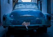 Images in Havana, Cuba and Trinidad, Cuba. Chicago photographer Alex Garcia