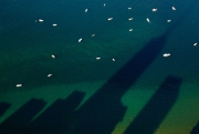 Boating on Lake Michigan. Aerials above Chicago. Chicago photographer Alex Garcia