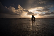 Clam Digging for razor clams in Copalis Beach, WA for The Nature Conservancy