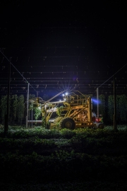 Cornerstone Ranches hops and apples harvest in Toppenish, WA