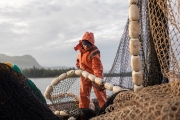 On the SIlver Wave seiner (Bainbridge Island), fishing salmon commercially out of Ketchikan, AK with Grundens