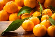 Freshly picked oranges that have been left in a pile on a wooden table.