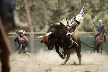 104-Rodeo-Bull-rider-PBR-wrangler-cowboy-Rod-McLean