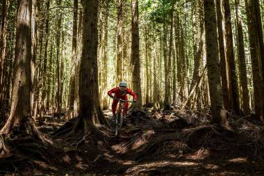 32-Athlete-Downhill-female-Mountain-Biker-Vaea-in-the-woods-Rod-McLean