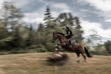 RodMcLean_Female_Jumping_Horse_in_Field_TGG_w