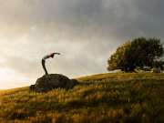 10_Active-Lifestyle-Female-yoga-backbend-standing-on-a-rock-in-a-grass-field-Advertising-Photographer-Rod-McLean_gg_cropped