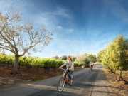 24_Lifestyle-Couple-Riding-Bikes-near-winery-Advertising-Photographer-Rod-McLean_gg