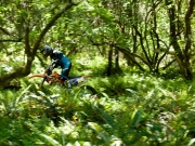 18_Athletic-Active-Lifestyle-Male-KTM-off-road-motorcycle-in-trees-Adventure-Photographer-Rod-McLean_GG