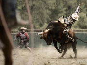 32_Athlete-Rodeo-Bull-rider-PBR-wrangler-cowboy-Adventure-Photographer-Rod-McLean_GG