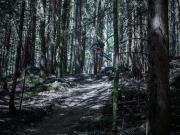 34_Athlete-Male-Caleb-Holonko-Mountain-Biker-Jumping-through-trees-Adventure-Photographer-Rod-McLean_gg